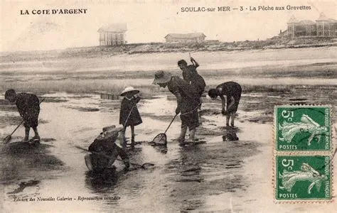 La Pêche aux Crevettes, Une Réminiscence Poétique de la Vie à Cartagena !