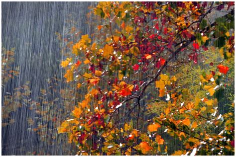 La Rhapsodie de la Pluie d'Automne: Une Mélancolie Poétique Enrobee dans les Couleurs Subtiles du Ciel